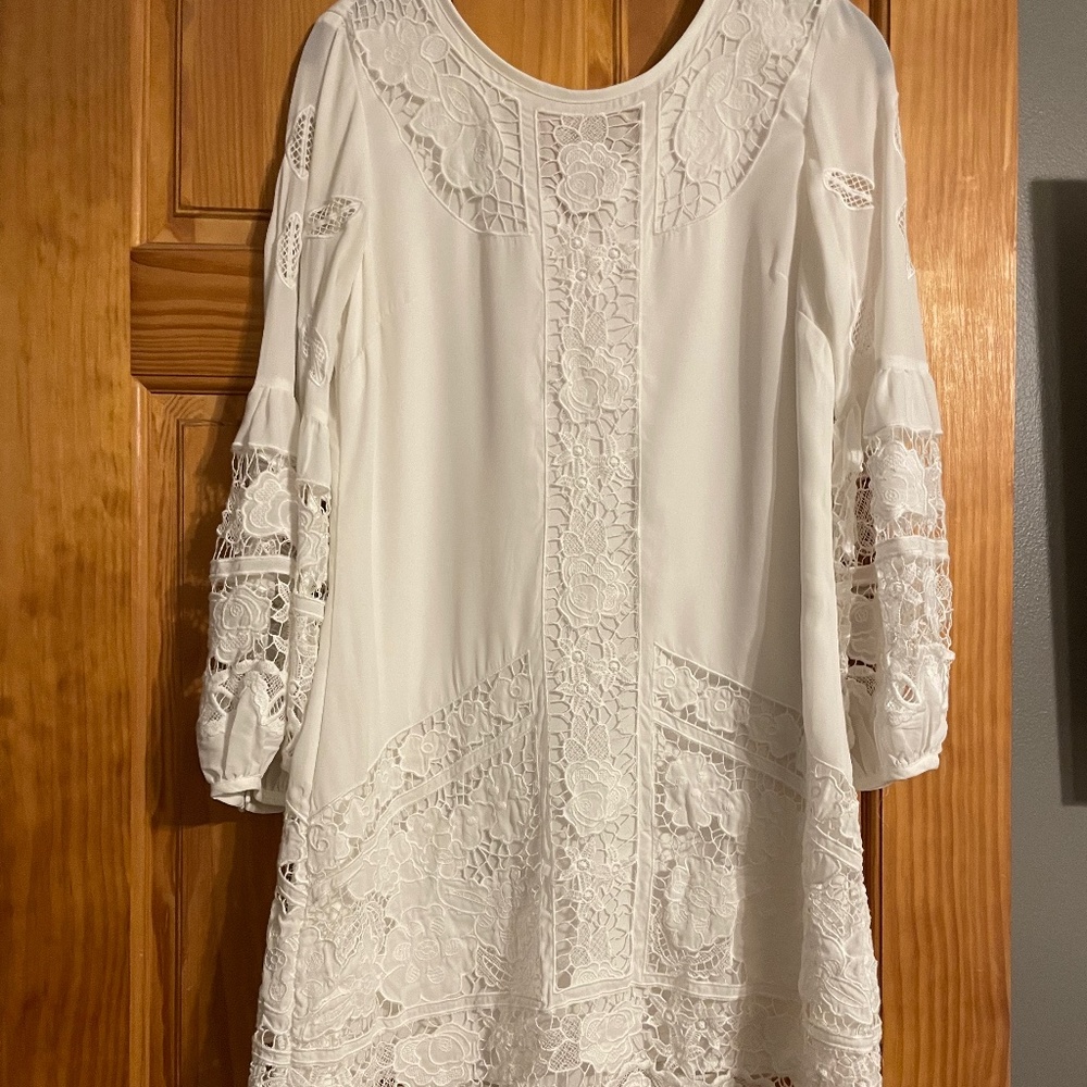 Chelsea 28 embroidered lace dress
